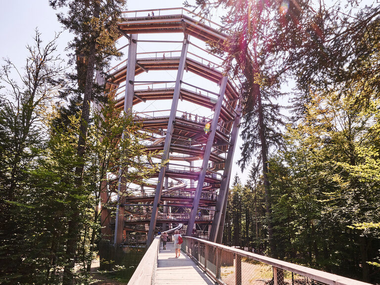 Der Baumwipfelpfad Bad Wildbad ist eine Attraktion im Schwarzwald, die eine großartige Aussicht garantiert. Ein Weg aus Holz führt zu einem Aussichtsturm, der von Bäumen umgeben ist.