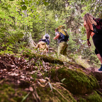 Drei Menschen wandern Treppen in der Natur nach oben.