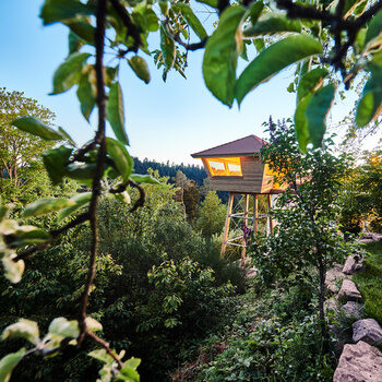 A high-seat sauna built on stilts surrounded by trees and bushes at dusk.